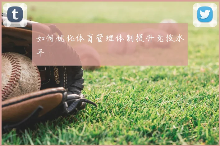 如何优化体育管理体制提升竞技水平
