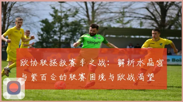 欧协联拯救赛季之战：解析水晶宫与紫百合的联赛困境与欧战渴望