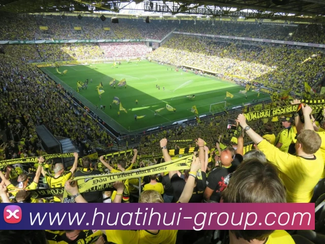 华体会体育官网服务体系